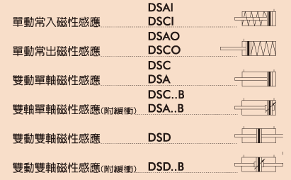 DSååä¸é¹é¼æ°£ç¼¸